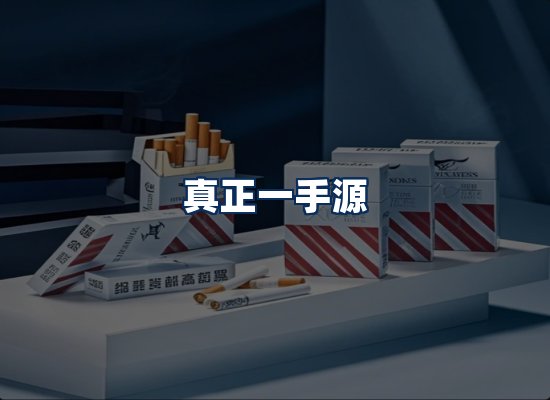 专业团队办公环境